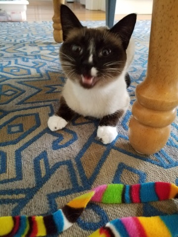 36293266_10100116145576543_71490649764921344_n